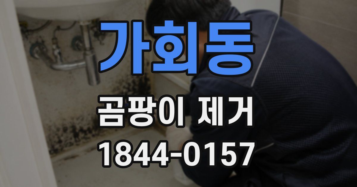 가회동 곰팡이 제거