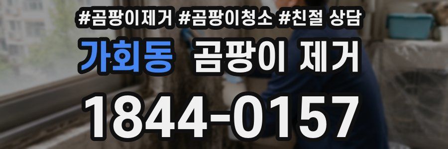 가회동 곰팡이 제거