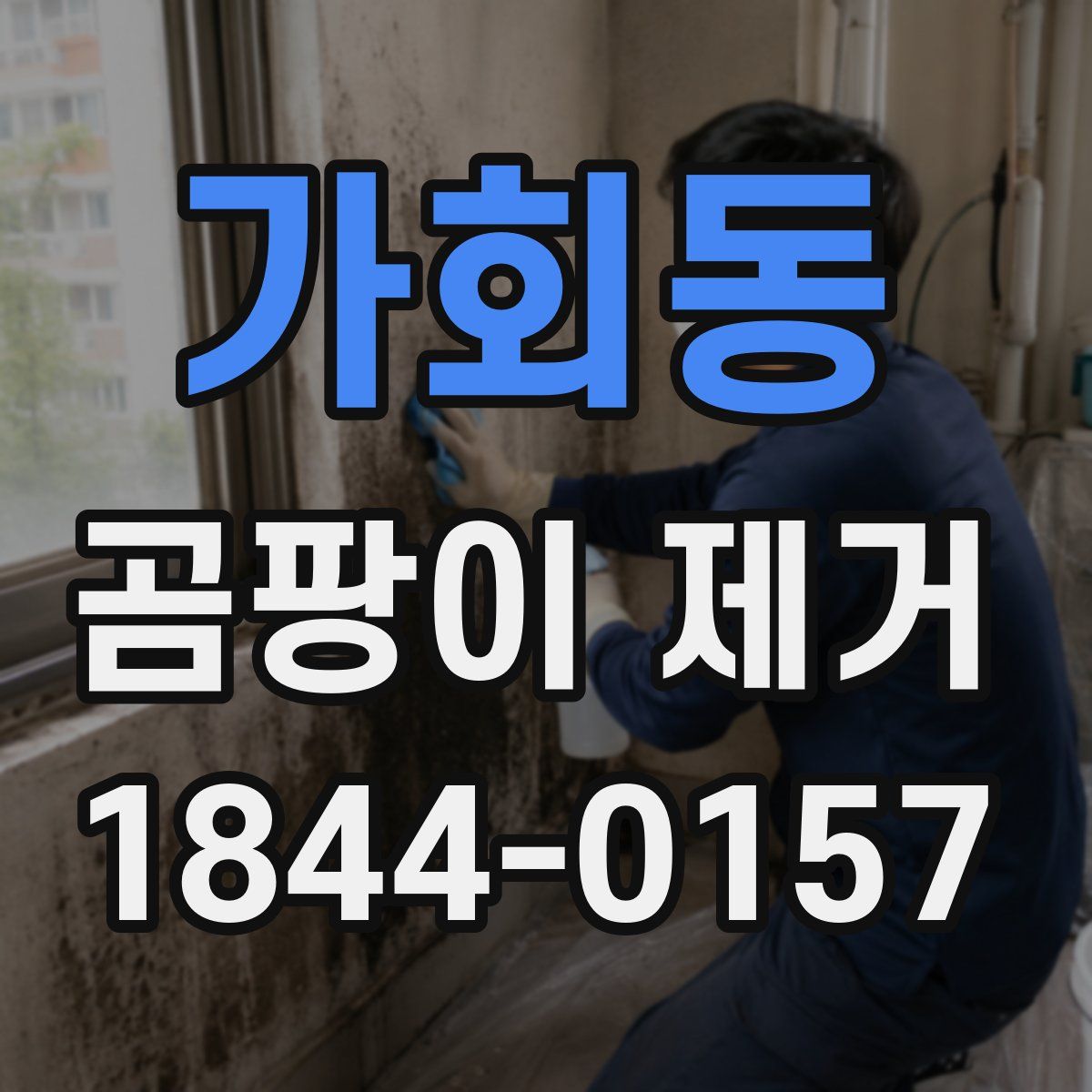 가회동 곰팡이 제거