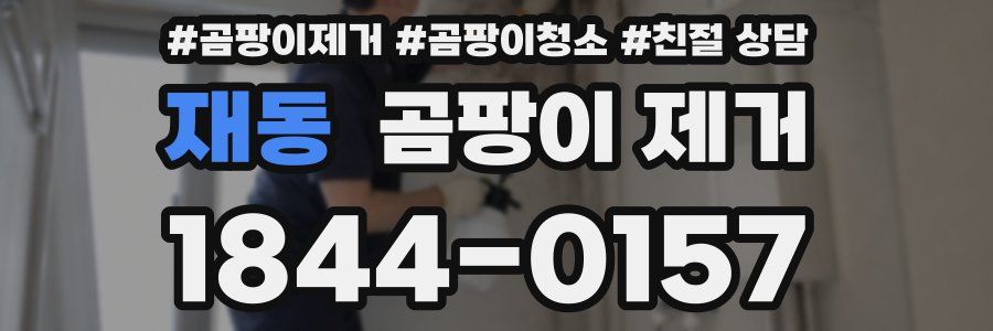 재동 곰팡이 제거