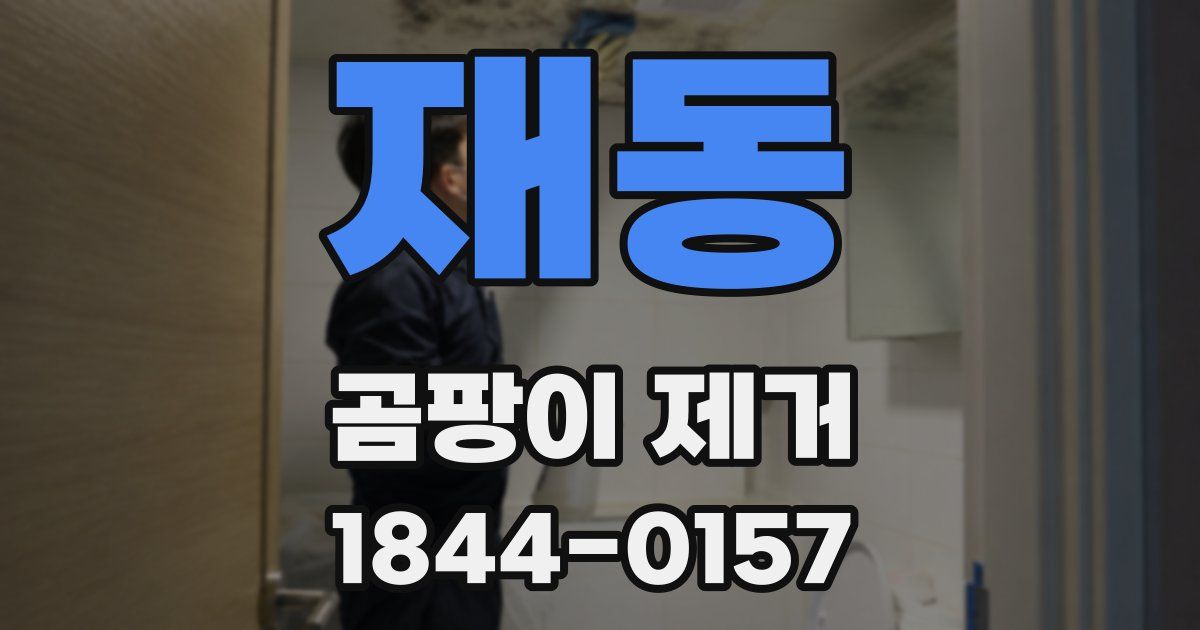 재동 곰팡이 제거