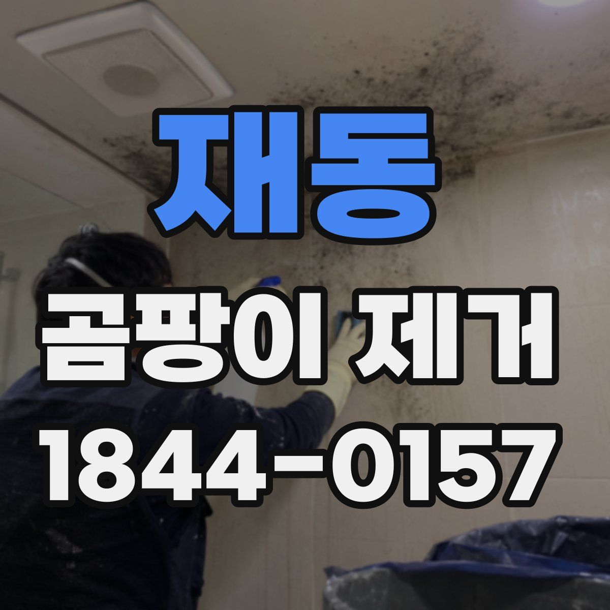 재동 곰팡이 제거