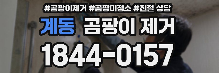 계동 곰팡이 제거