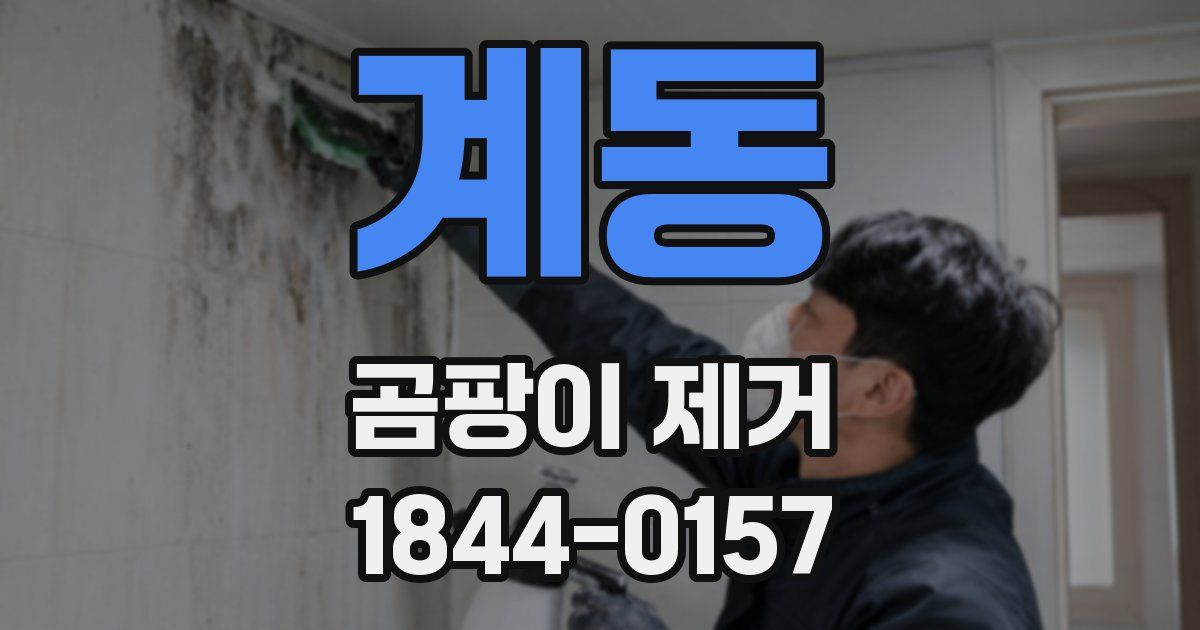 계동 곰팡이 제거