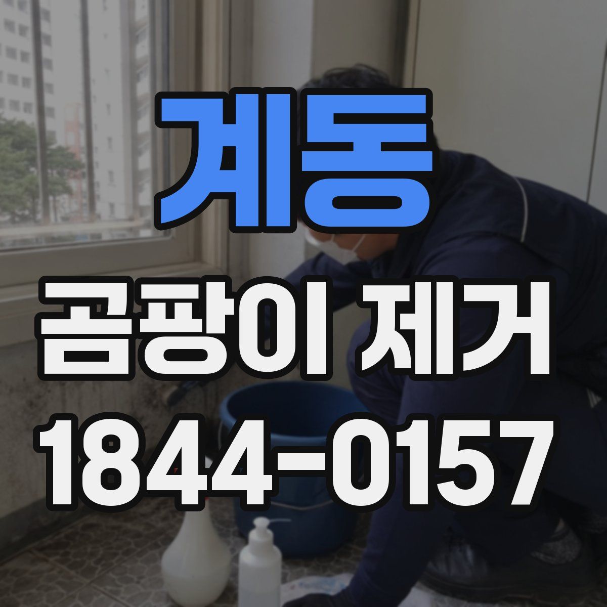계동 곰팡이 제거