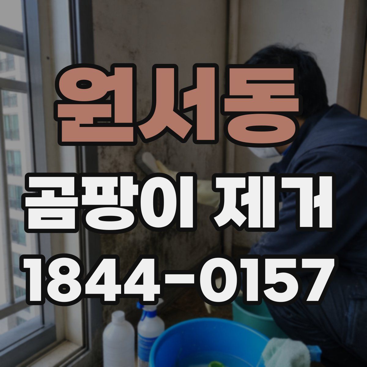 원서동 곰팡이 제거