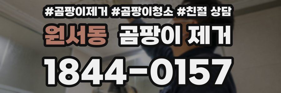 원서동 곰팡이 제거