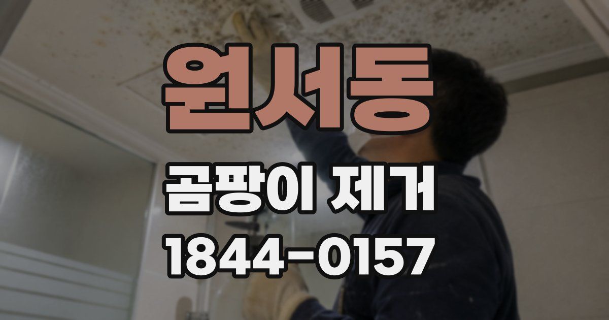 원서동 곰팡이 제거