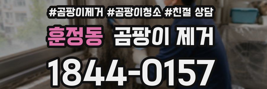 훈정동 곰팡이 제거