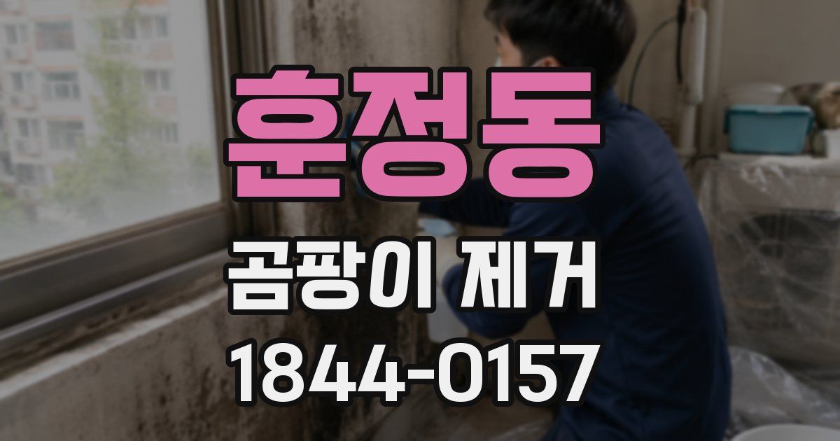 훈정동 곰팡이 제거