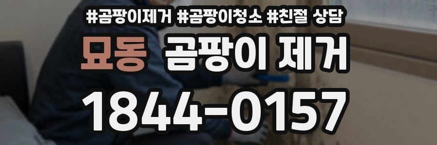 묘동 곰팡이 제거