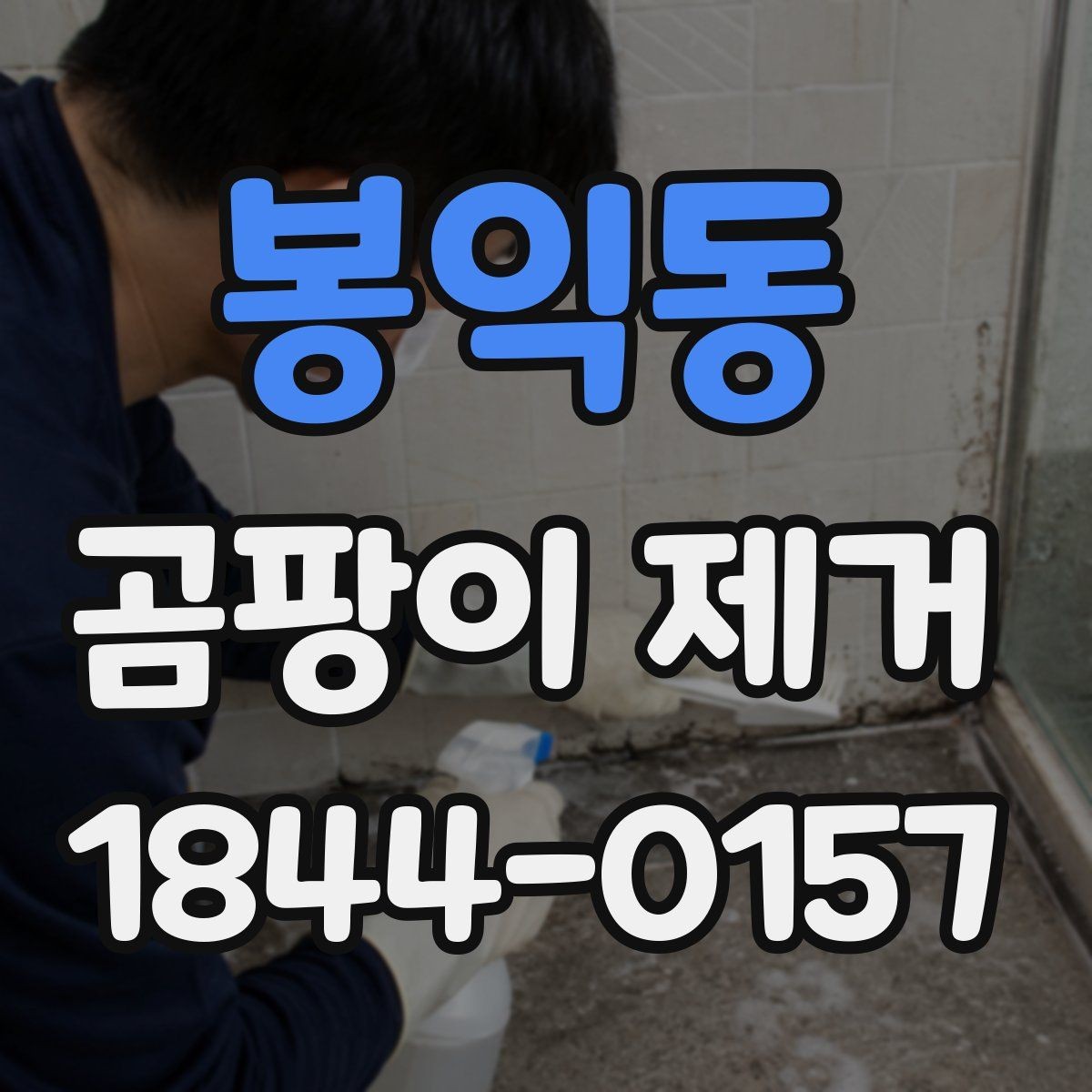 봉익동 곰팡이 제거 방마다 다른 원인 구분하기
