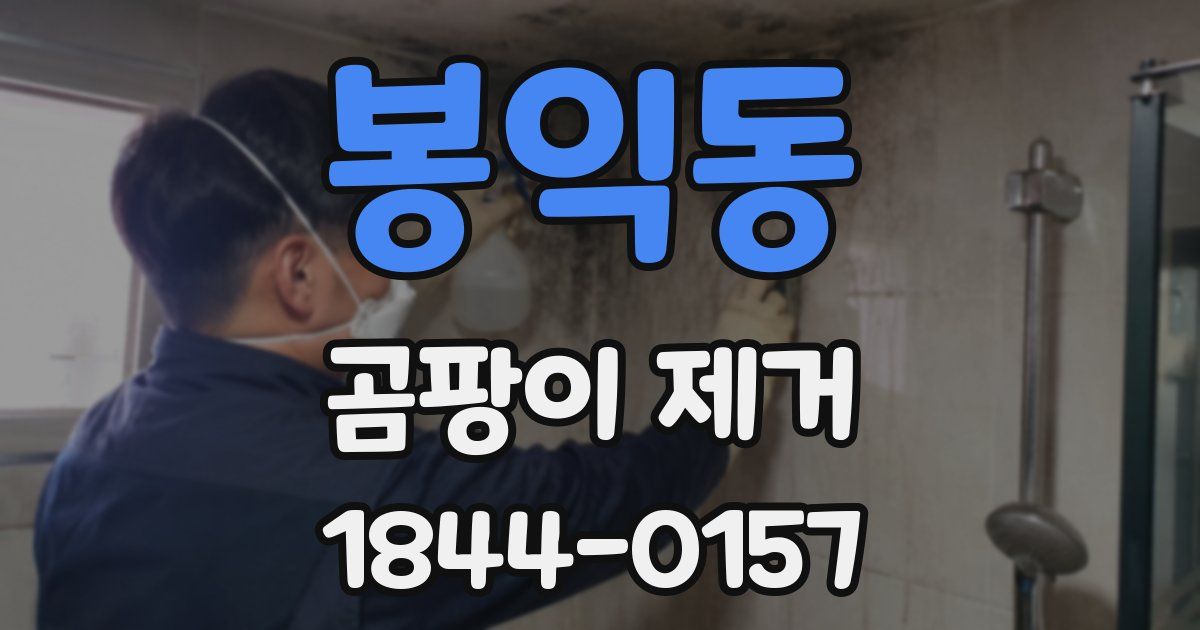 봉익동 곰팡이 제거
