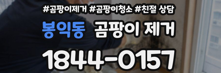 봉익동 곰팡이 제거