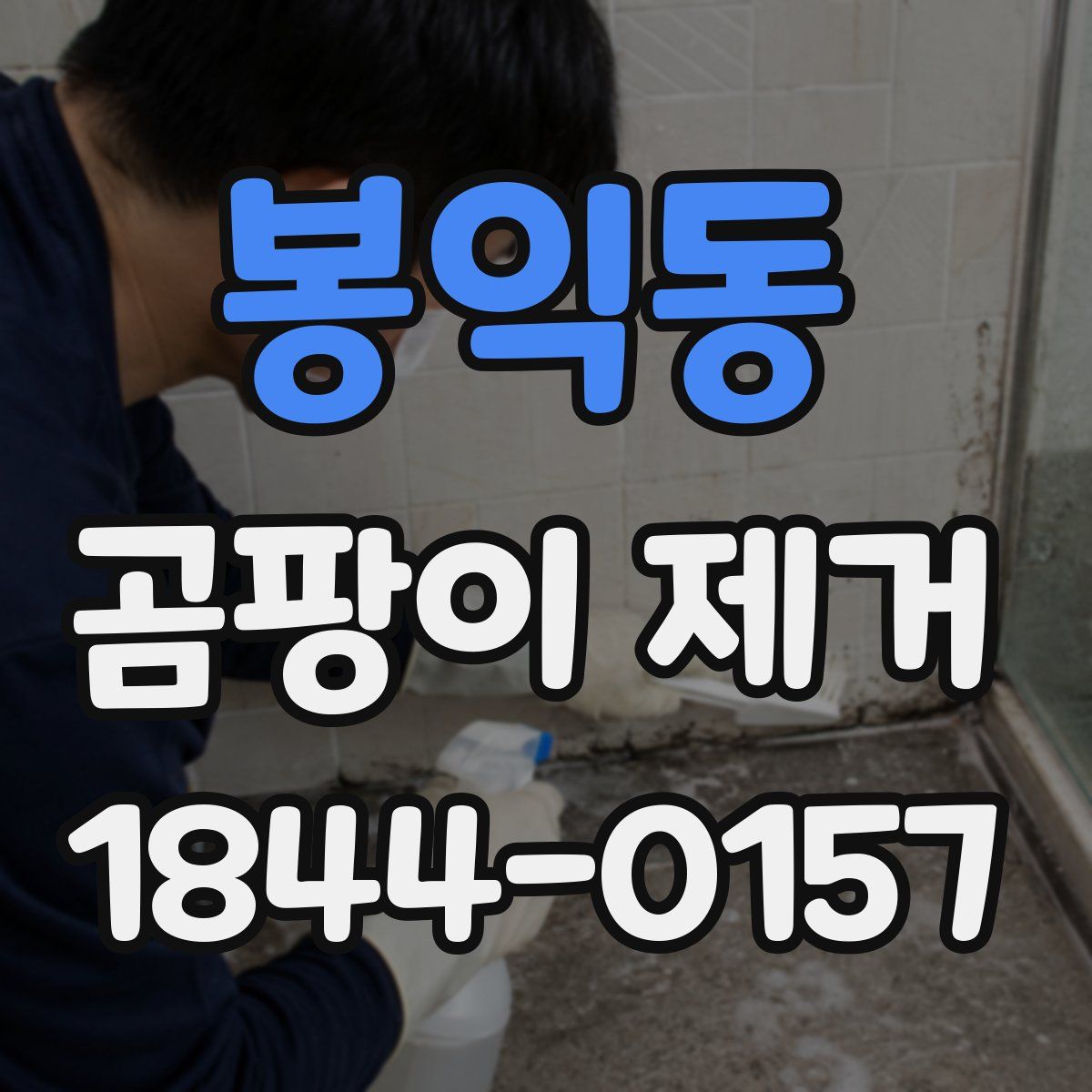 봉익동 곰팡이 제거