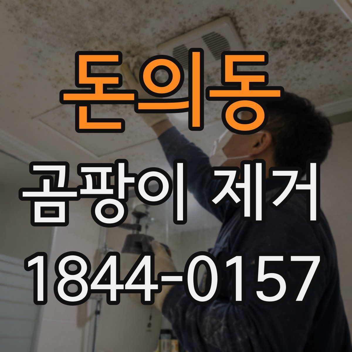 돈의동 곰팡이 제거