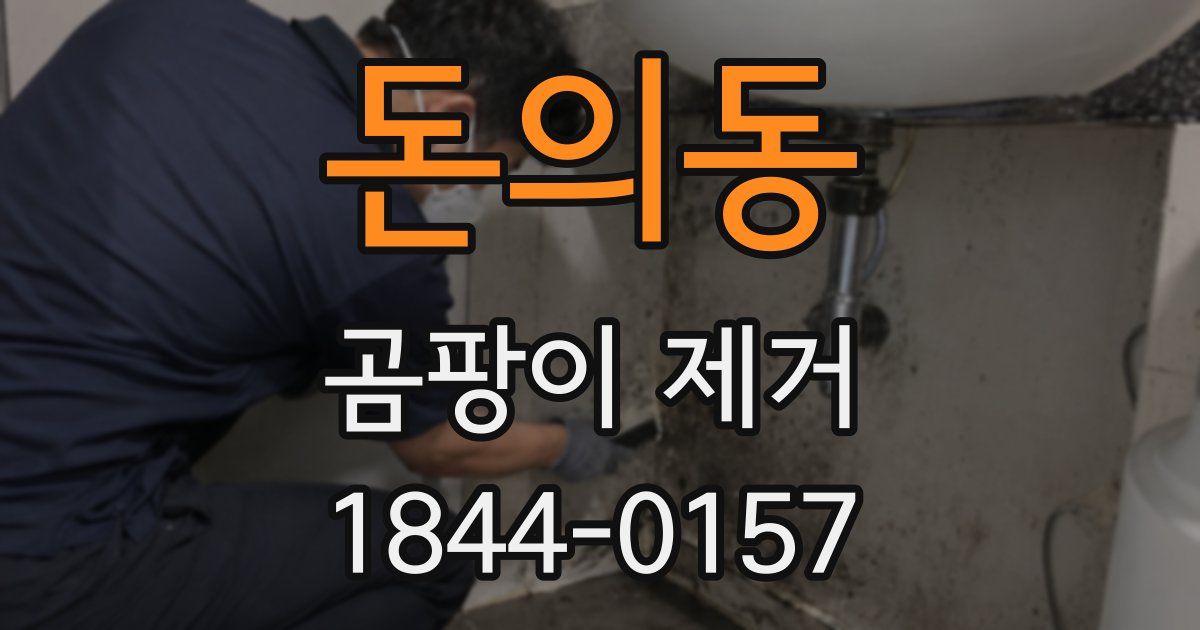 돈의동 곰팡이 제거