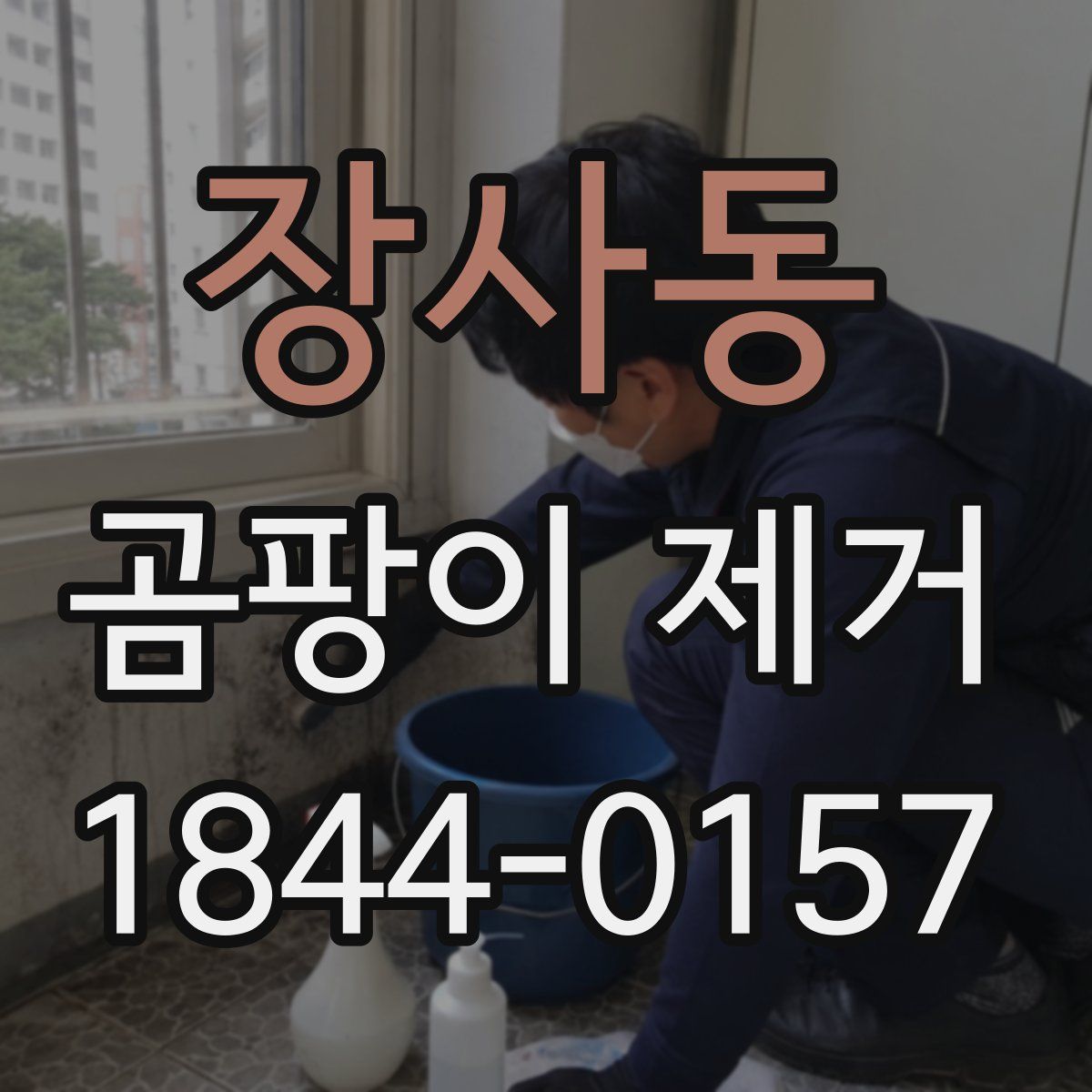 장사동 곰팡이 제거