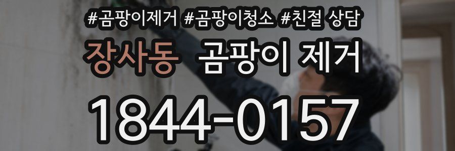 장사동 곰팡이 제거