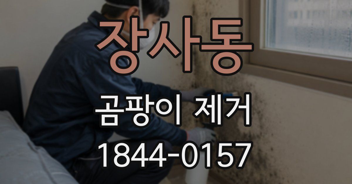 장사동 곰팡이 제거