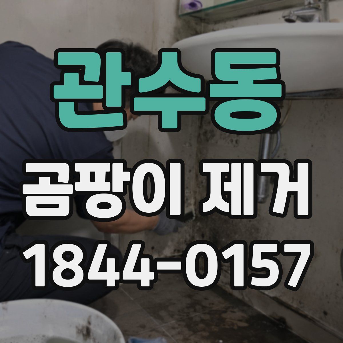 관수동 곰팡이 제거