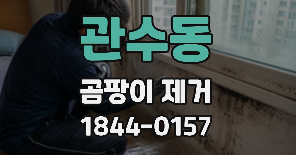 관수동 곰팡이 제거