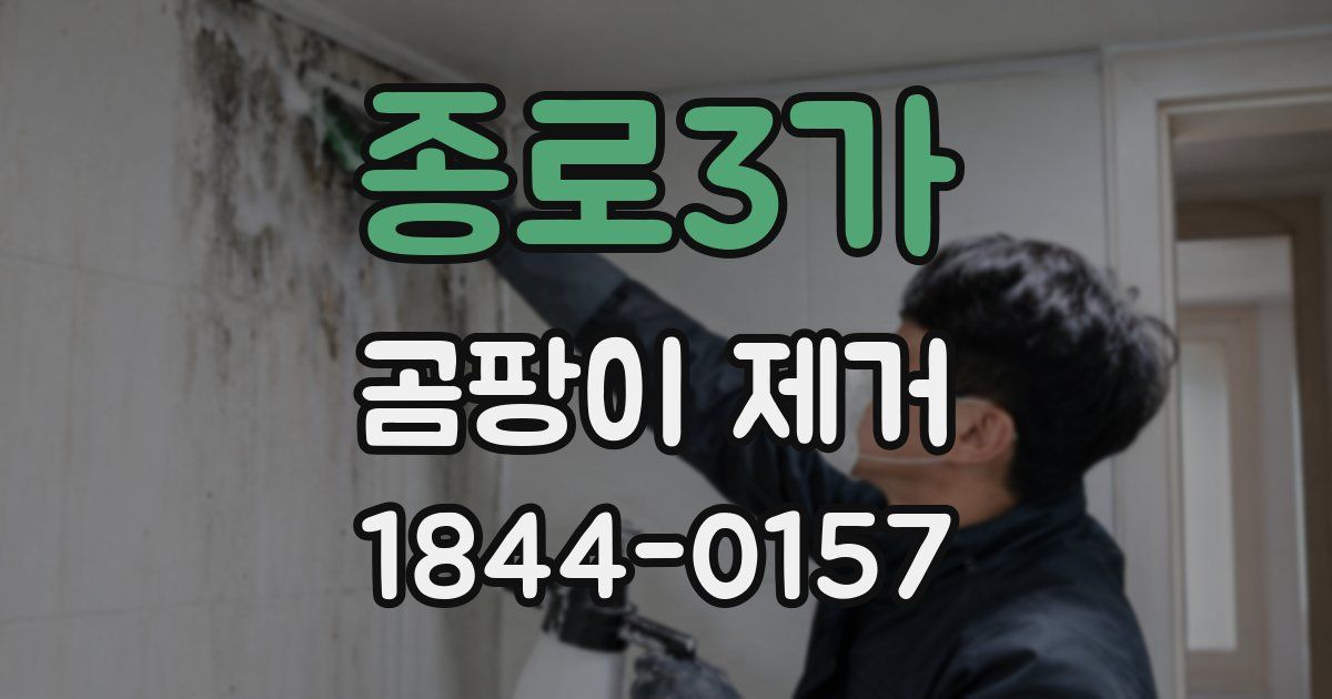 종로3가 곰팡이 제거