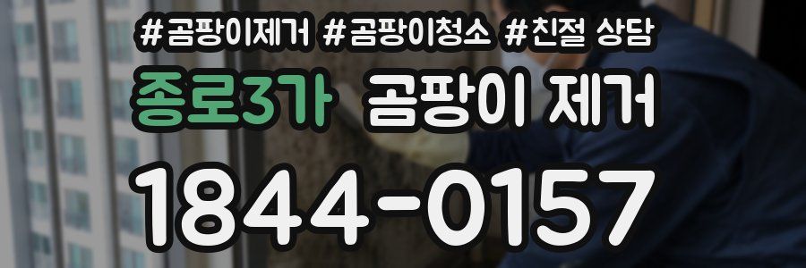 종로3가 곰팡이 제거