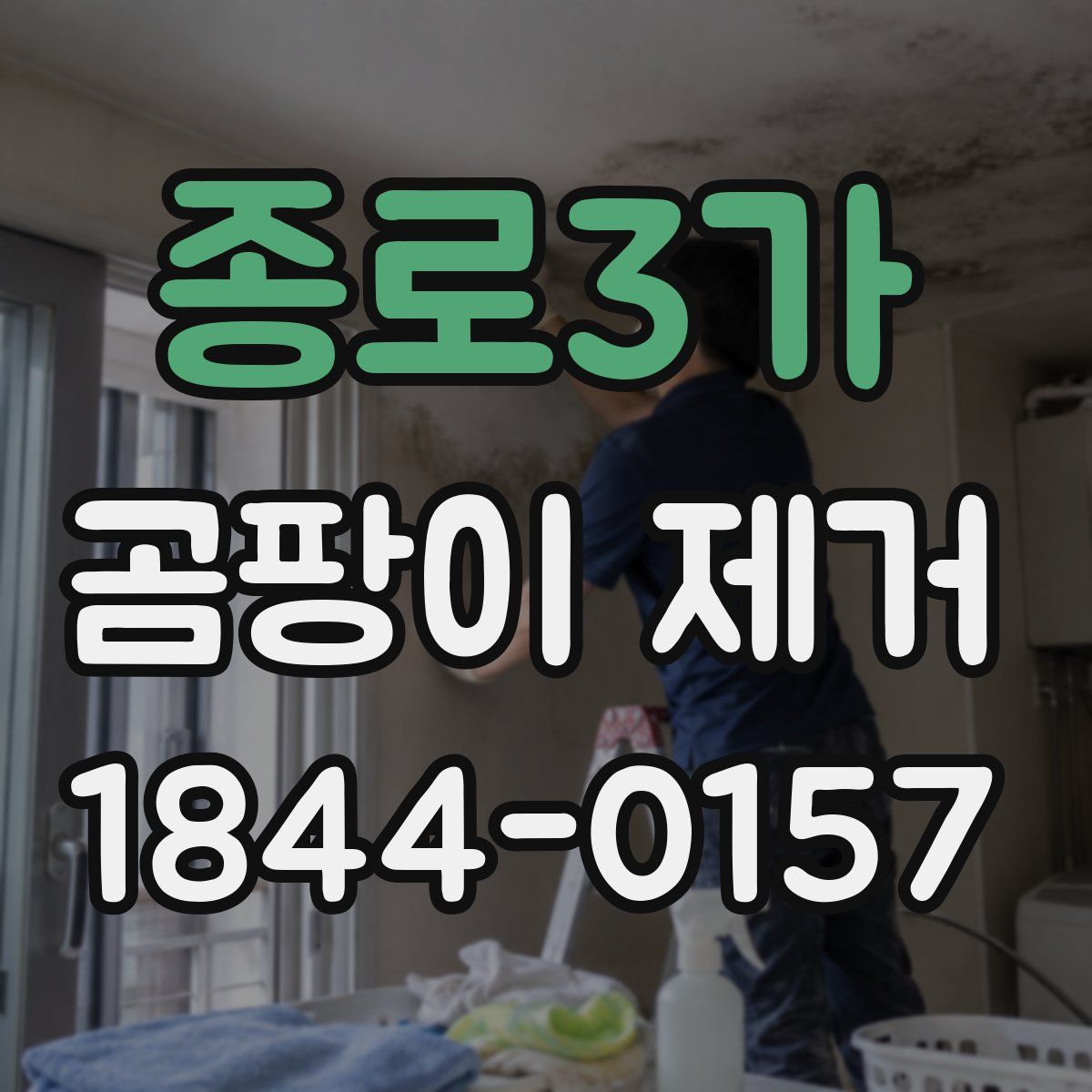 종로3가 곰팡이 제거