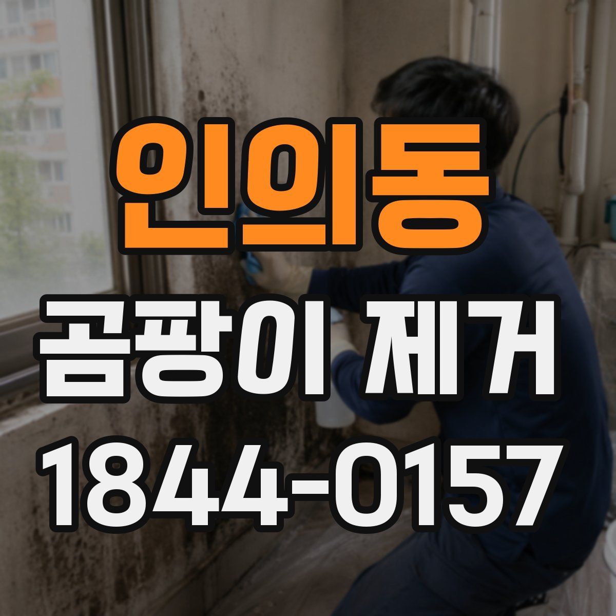 인의동 곰팡이 제거