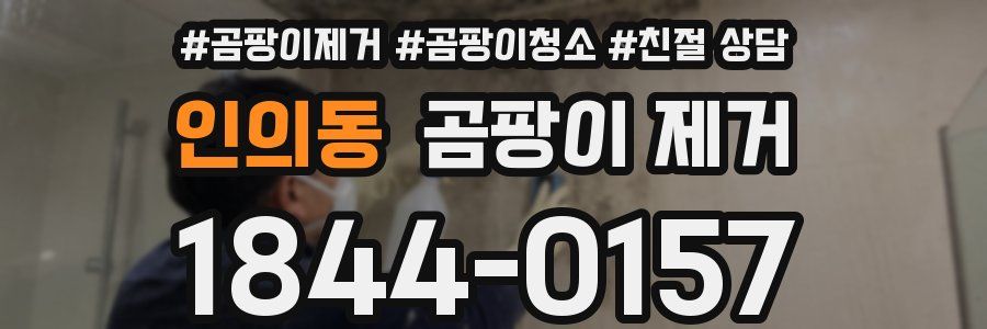인의동 곰팡이 제거