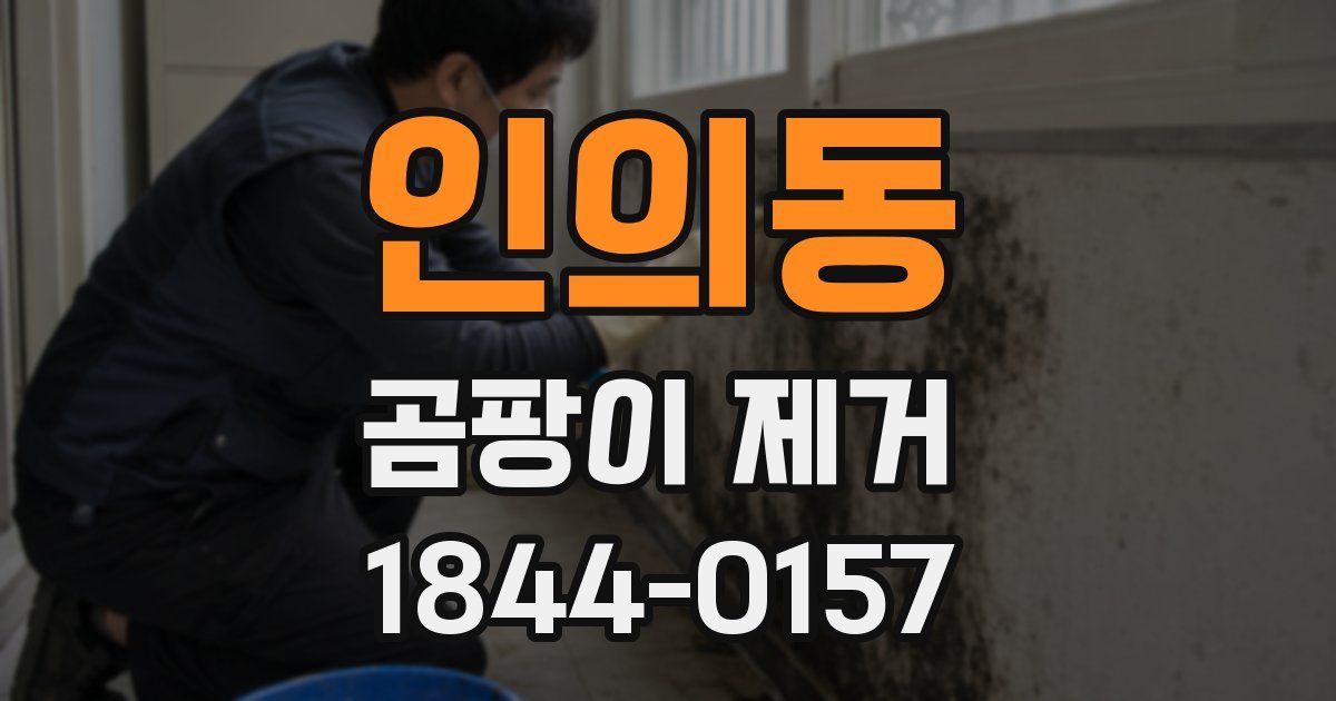 인의동 곰팡이 제거