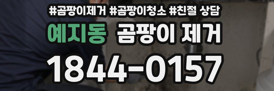 예지동 곰팡이 제거