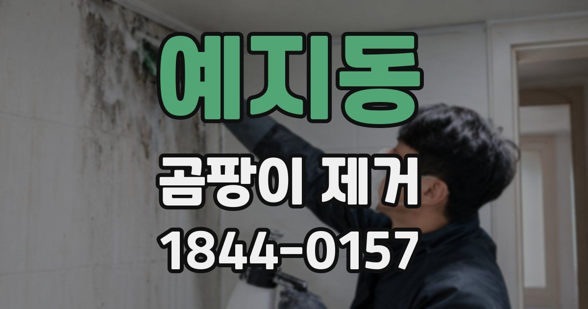 예지동 곰팡이 제거
