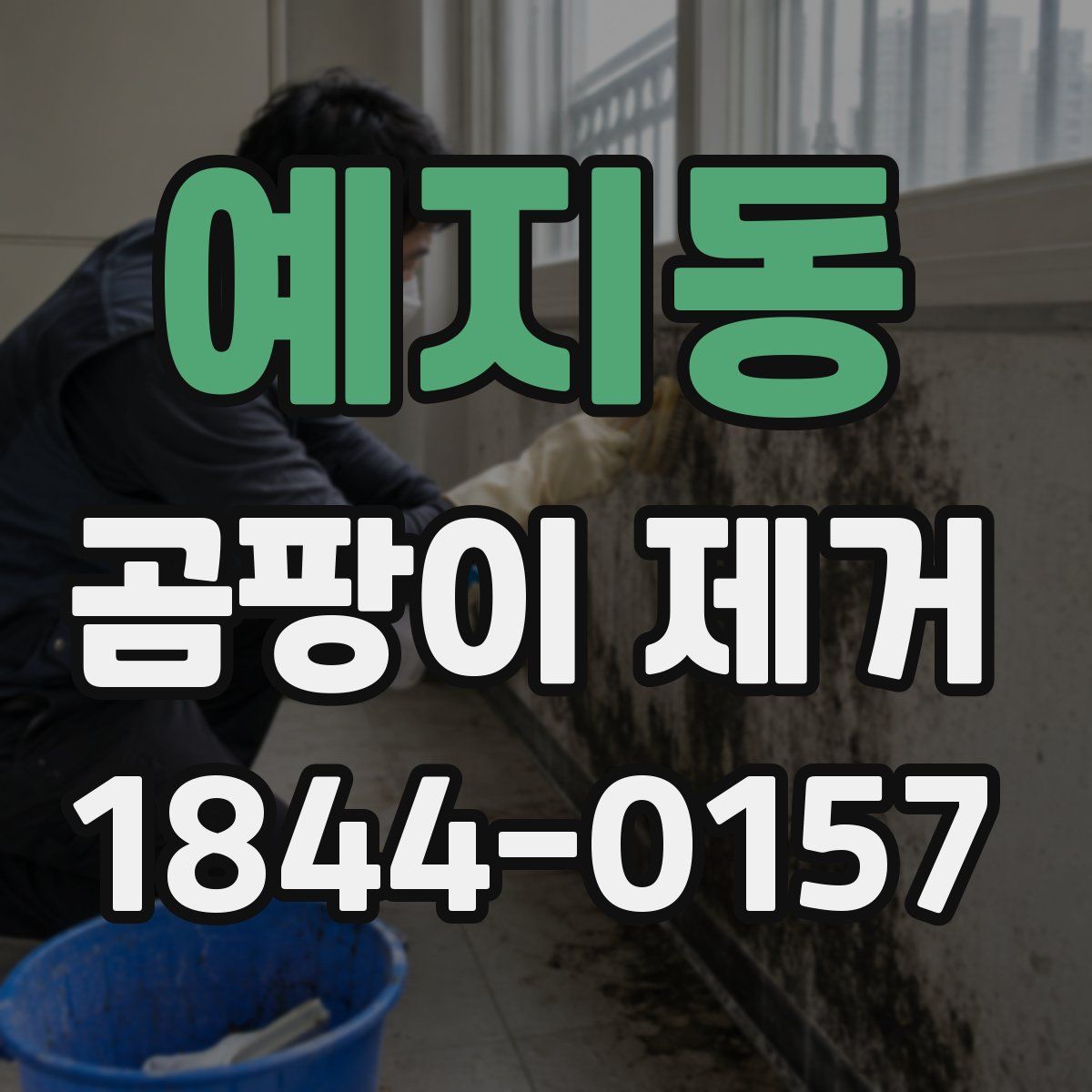 예지동 곰팡이 제거