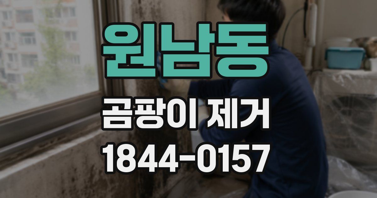 원남동 곰팡이 제거