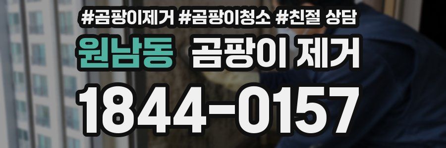 원남동 곰팡이 제거