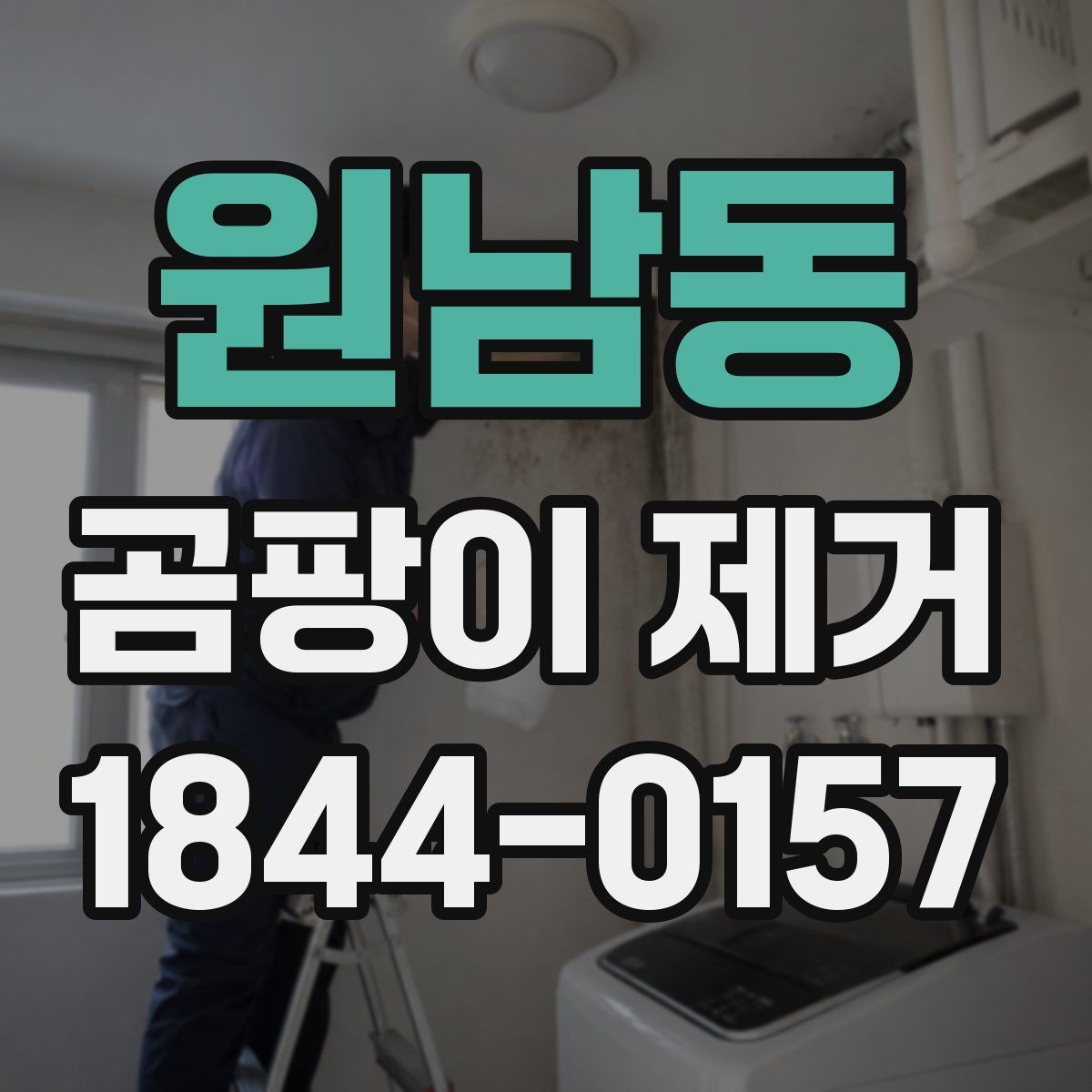 원남동 곰팡이 제거