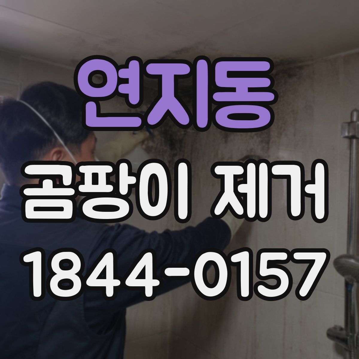 연지동 곰팡이 제거