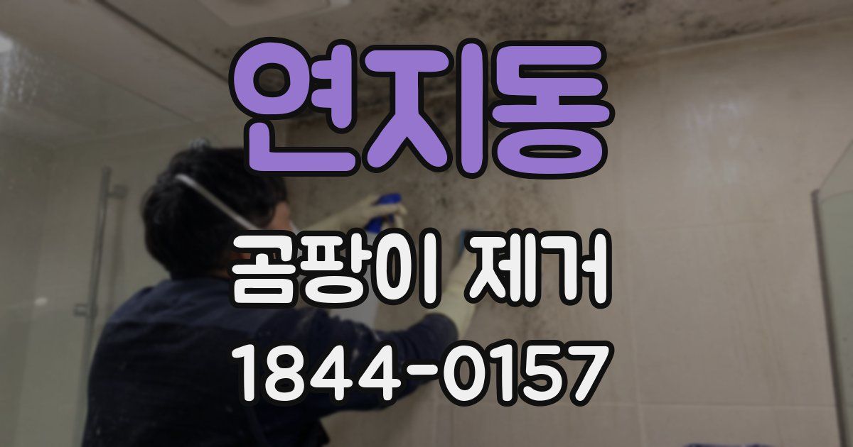 연지동 곰팡이 제거