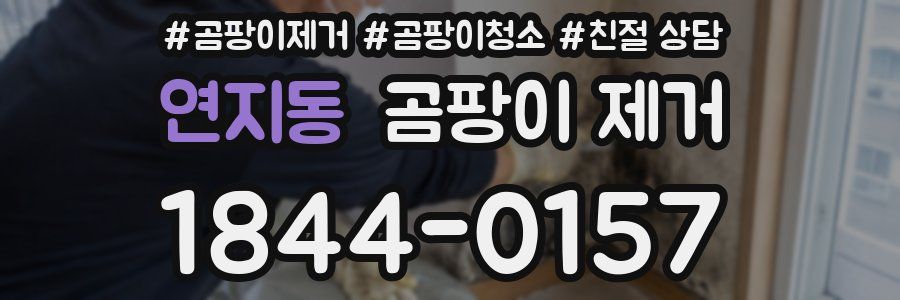 연지동 곰팡이 제거