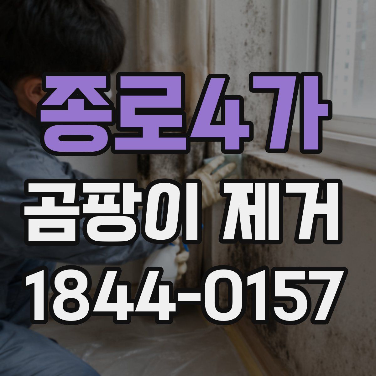 종로4가 곰팡이 제거
