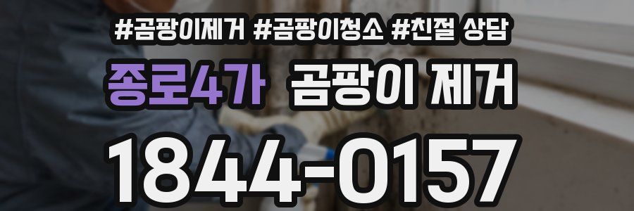 종로4가 곰팡이 제거