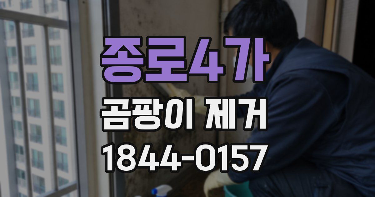 종로4가 곰팡이 제거