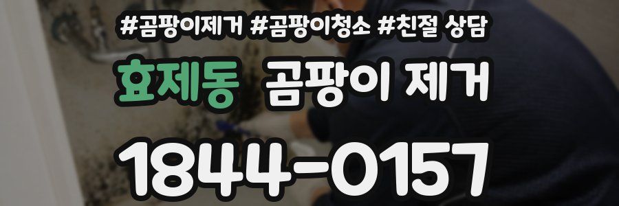 효제동 곰팡이 제거