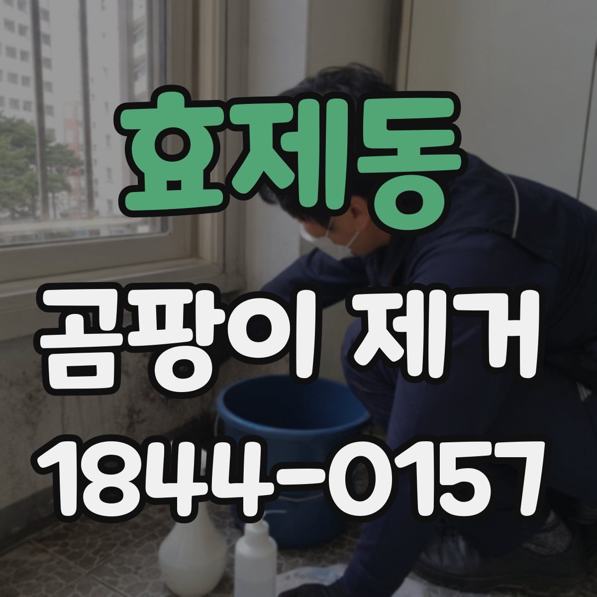 효제동 곰팡이 제거