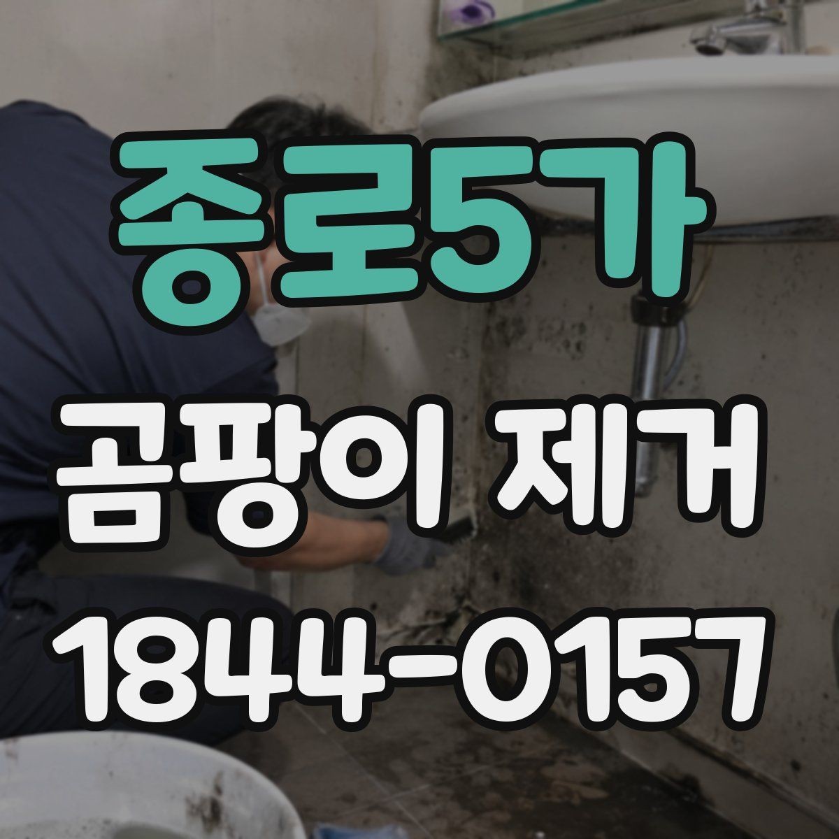종로5가 곰팡이 제거 전후 차이를 만드는 핵심 요소