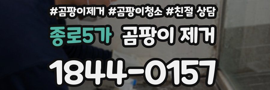 종로5가 곰팡이 제거
