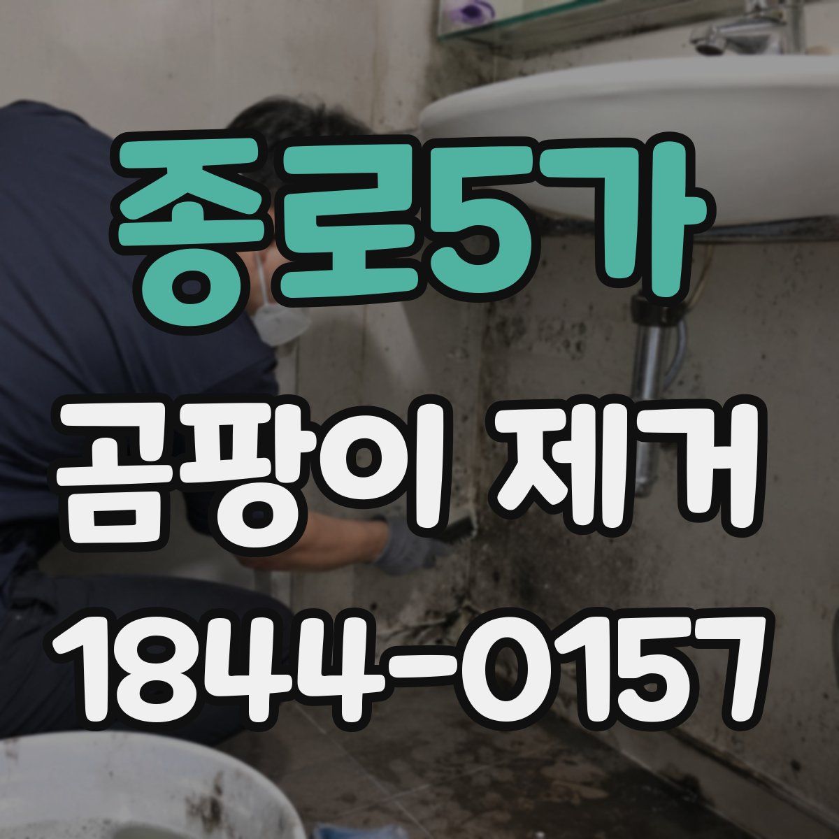 종로5가 곰팡이 제거
