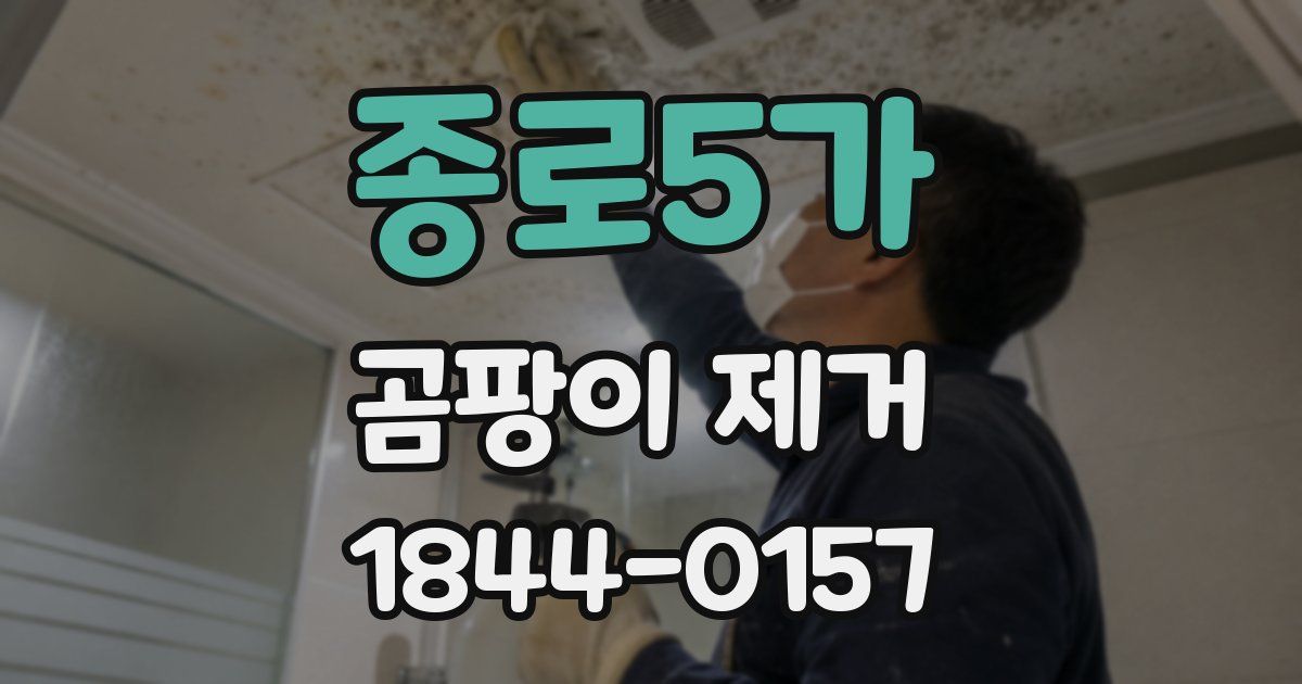 종로5가 곰팡이 제거